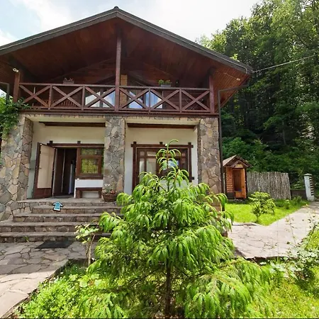 Отель Vedmezhe 4*