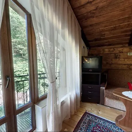 Vedmezhe 4* Поляна