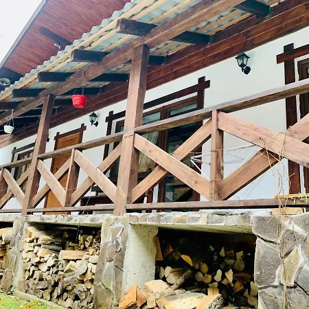 Отель Vedmezhe 4*