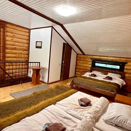 Отель Vedmezhe 4*