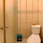 Vedmezhe 4* Polyana (Transcarpathia)