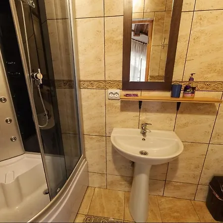 Vedmezhe מלון 4*