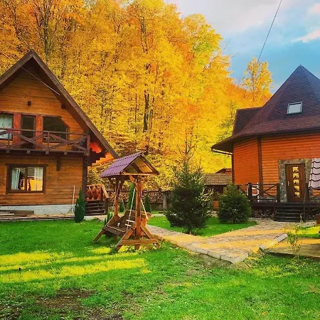 Vedmezhe Polyana (Transcarpathia)
