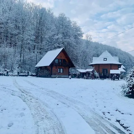 Vedmezhe