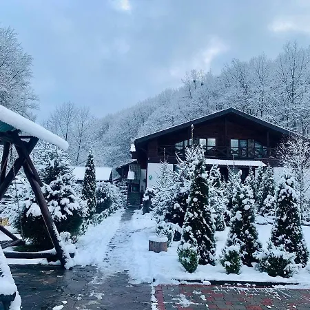 Hotel Vedmezhe Polyana (Transcarpathia)