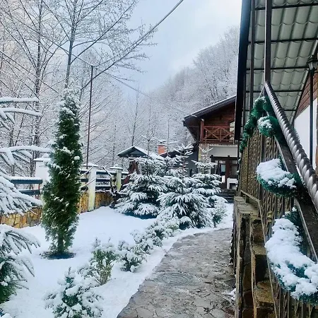 Vedmezhe Polyana (Transcarpathia)