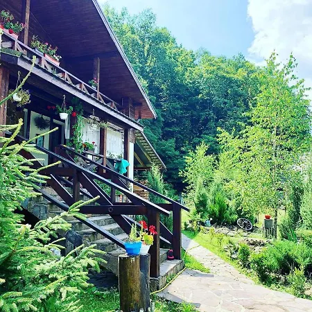 Hotel Vedmezhe 4*