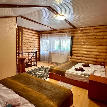 Hotel Vedmezhe