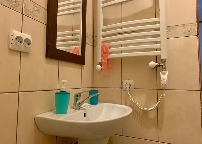 Vedmezhe Hotell 4*