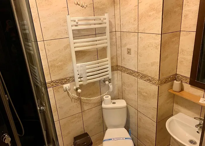 Vedmezhe 4*